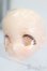 画像2: DollceDoll/DC60-01ヘッド S-25-04-13-499-GN-ZS (2)