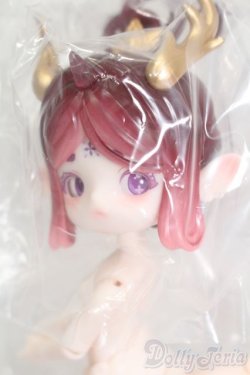 画像2: PENNY'S BOX/アンティーユ Silk Road Souvenir S-25-02-23-448-GN-ZS