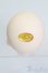 画像4: Angell Studio/Fiona S-25-01-19-396-GN-ZS (4)