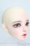 画像3: Dollsn/Hannah DollOrange ver. S-25-02-23-315-GN-ZS (3)