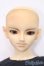画像6: SD13BOY/南条勲 S-24-12-08-437-GN-ZS