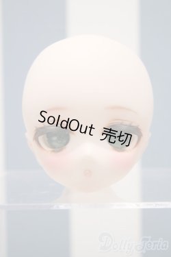 画像1: 【新宿マルイアネックス店 店頭販売商品】DDH-01/カスタムヘッド:coffia様製　2100140000015027-ZM