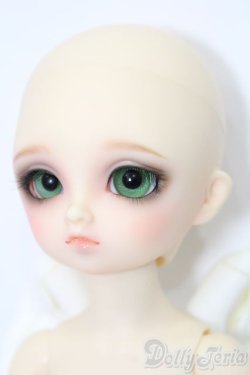 画像3: 幼天使/キラ S-25-09-28-421-GN-ZS