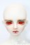 画像2: LUTS/Senior65 Delf BURGUNDY S-25-03-30-423-GN-ZS (2)