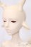 画像3: Dream Valley/Howard Giraffe Version S-25-01-19-322-GN-ZS