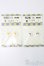 画像1: 16ｍｍ/アニメアイ S-25-04-06-348-GN-ZS (1)