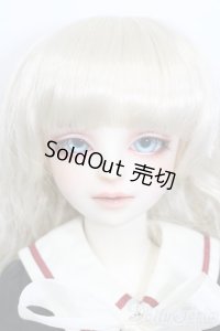 SD/アダプションモデル:F-55 S-25-04-20-562-GN-ZS