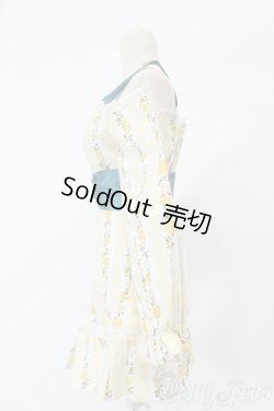 画像2: DD/OF:衣装セット S-25-12-14-578-GN-ZS