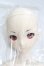 画像2: DDS/神崎蘭子 S-25-03-23-203-GN-ZS (2)