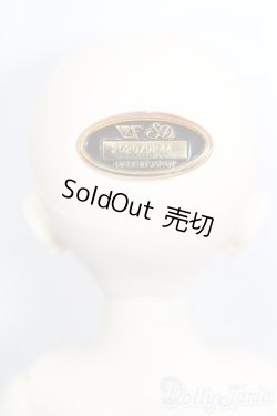 画像5: SDM/ギルバート 星間学寮ver. S-25-09-28-405-GN-ZS