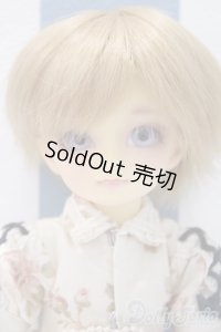 【新宿マルイアネックス店 店頭販売商品】幼SD/ワンオフモデル:あゆむ(Saifa様メイク) 2100140000016977-ZM