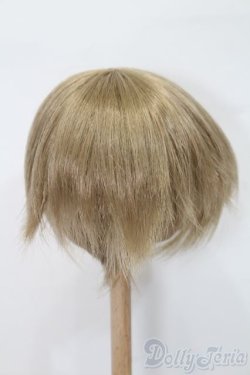 画像2: 9-10inch/ウィッグ S-25-04-13-377-NH-ZS