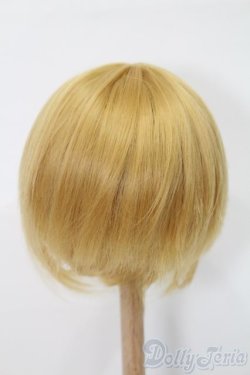 画像2: 9-10inch/ウィッグ S-25-03-23-355-NH-ZS
