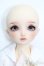 画像2: SDM/スタンダードモデルちよ S-25-04-27-101-GN-ZS (2)