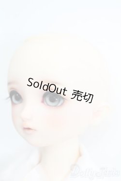 画像3: SDM/スタンダードモデルちよ S-25-04-27-101-GN-ZS