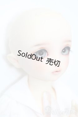 画像4: SDM/スタンダードモデルちよ S-25-04-27-101-GN-ZS