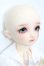 画像4: SDM/スタンダードモデルちよ S-25-04-27-101-GN-ZS