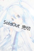 DD/雪ミク S-25-06-22-576-GN-ZS