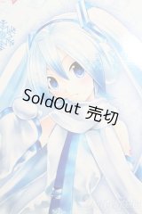 DD/雪ミク S-25-06-22-576-GN-ZS