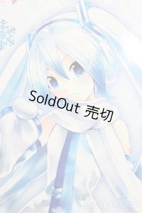 DD/雪ミク S-25-06-22-576-GN-ZS