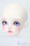 画像2: Rosenlied/Holiday's Child Limited Miu Rosenlied in Wonderland S-25-01-19-397-GN-ZS (2)