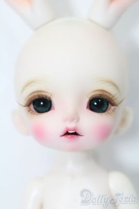 tokissi/Follow the white rabbit S-25-04-20-519-GN-ZS