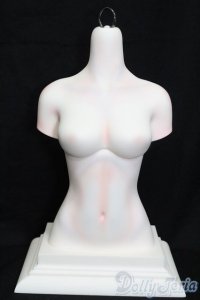 DREAMING DOLL　ElvaGirls　Torso S-25-05-04-667-NH-ZS