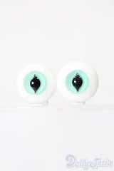 16mm/グラスアイ S-25-04-20-306-NH-ZS