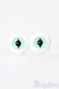 16mm/グラスアイ S-25-04-20-306-NH-ZS
