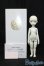 画像5: iMda DOLL 3.0/Amellia S-25-04-20-521-GN-ZS
