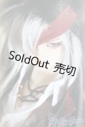 SD17男の子/レイズナー〜The Shadow of Captain II〜 S-24-12-15-070-GN-ZS