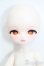 画像2: TinyFox/オニイトマキエイ 毒香 S-25-01-19-363-GN-ZS (2)