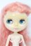 画像1: ネオブライス/デインティビスケット S-25-03-23-406-GN-ZS (1)