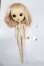 画像6: pullip/アクエル S-25-03-02-479-GN-ZS