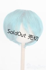 9-10inch/ウィッグ S-25-03-04-334-NH-ZS