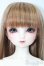 画像1: SD/フルチョイス:F-98 S-25-03-16-491-GN-ZS (1)