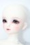 画像3: SD/フルチョイス:F-98 S-25-03-16-491-GN-ZS