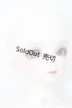 画像4: SD/フルチョイス:F-98 S-25-03-16-491-GN-ZS