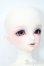 画像4: SD/フルチョイス:F-98 S-25-03-16-491-GN-ZS