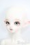 画像2: PEAKS WOODS/FOB Vampire Little Yeru S-25-06-08-727-GN-ZS (2)