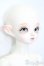 画像3: PEAKS WOODS/FOB Vampire Little Yeru S-25-06-08-727-GN-ZS