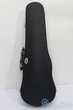 画像1: VOLKS/MSD用バイオリン型ドールキャリングケース S-25-05-11-417-GN-ZS
