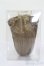 画像3: 8-9inch/ウィッグ S-25-03-30-315-GN-ZS (3)