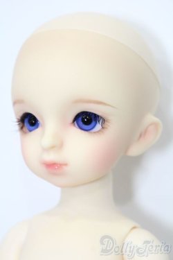 画像3: 幼SD/パピ S-25-09-28-426-GN-ZS