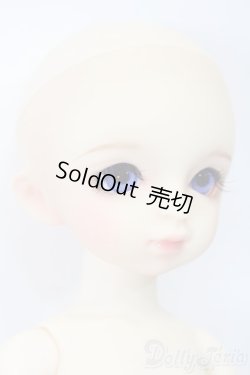 画像4: 幼SD/パピ S-25-11-16-469-GN-ZS