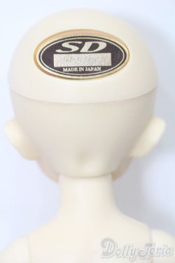 画像5: 幼SD/パピ S-25-09-28-426-GN-ZS