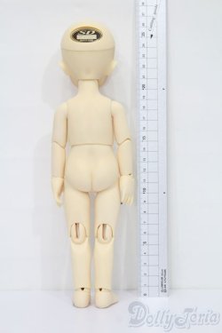 画像7: 幼SD/パピ S-25-09-28-426-GN-ZS