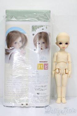 画像8: 幼SD/パピ S-25-09-28-426-GN-ZS