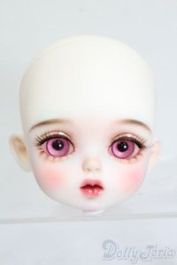 Petit Soiree/Etolie:Viande Biscuit ヘッド S-25-05-04-201-GN-ZS