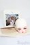 画像5: Petit Soiree/Etolie:Viande Biscuit ヘッド S-25-05-04-201-GN-ZS (5)